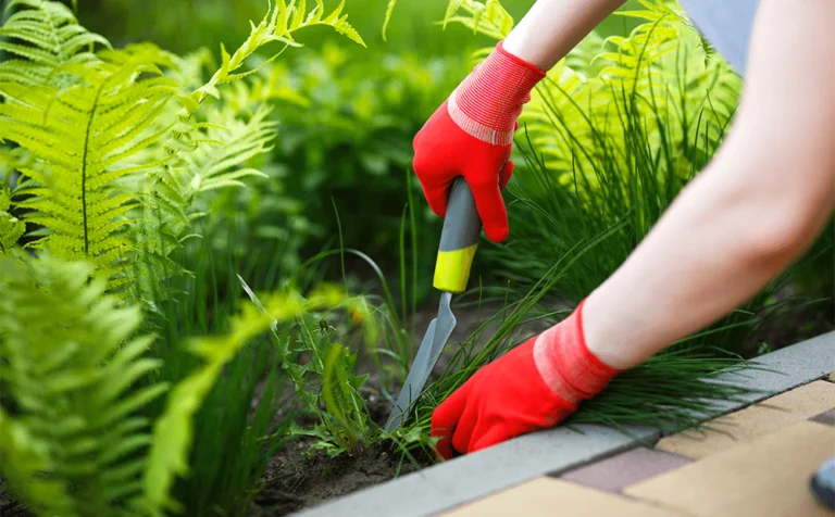 dammmanns+garden+company+beginners+guide+to+weed+control+red+gloves+pulling+weeds
